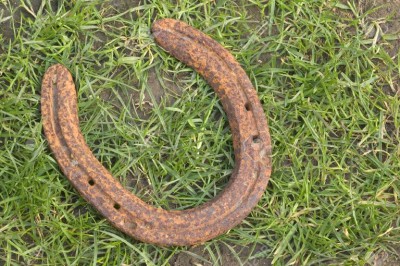 829121 Old rusted horseshoe lying on a grass and mud background Stock Photo